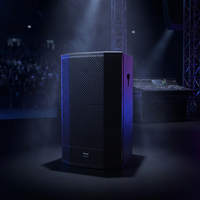 Enceinte active Thinuna T-15-DWP Pro 15 pouces avec DSP, tweeter large de 3 pouces, système audio de scène alimenté en classe D 550W pour concerts et clubs