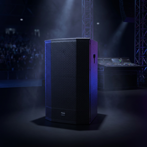 Enceinte active Thinuna T-15-DWP Pro 15 pouces avec DSP, tweeter large de 3 pouces, système audio de scène alimenté en classe D 550W pour concerts et clubs - Product Image 6