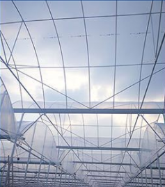 5 năm 200 micron 8mil năng lượng mặt trời nhà kính phim cho nông nghiệp phim nhựa phim cho nhà kính mặt trời chọn UV khối - Product Image 6