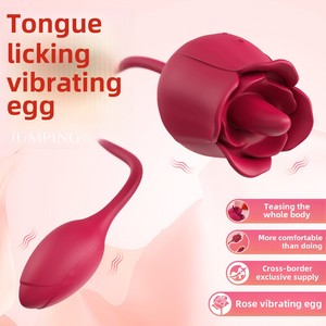 Vibromasseur Rose Flirting pour femmes, double alimentation USB, pour jeunes femmes, jouet sexuel pour masturbation, vibromasseur pour adultes - Product Image 1