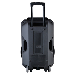 2025 gran oferta 12 pulgadas <span class=keywords><strong>RMS</strong></span> 200W estéreo Iglesia sistema de sonido altavoces USB/SD/TF/BT/FM inalámbrico excelente para iglesias - Product Image 4