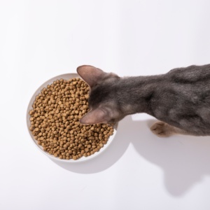 Nourriture sèche pour chats sans céréales, riche en protéines, saveur poulet cuit, réduit les allergies, anti-allergènes FelD, croquettes pour chats, conception d'emballage personnalisée avec logo - Product Image 2
