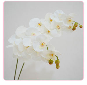 Bunga anggrek kupu-kupu anggrek <span class=keywords><strong>Phalaenopsis</strong></span>, dekorasi rumah pernikahan H-573 9 Kepala dan 6 kepala dilapisi lateks sentuhan asli - Product Image 6
