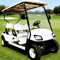 Voiturette de golf électrique économique 4 places, directement de l'usine, universelle multi-scènes pour la communauté, le campus, les trajets courts et les déplacements en dune