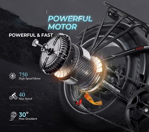 2024 Popular 48V OEM/ODM 20 pulgadas todo terreno suspensión 750W bicicleta eléctrica mtb montaña grasa ebike bicicleta eléctrica para adultos - Product Image 6