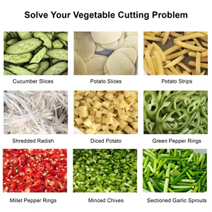 Machine industrielle multifonctionnelle pour couper les légumes |   Trancheuse, râpeuse et hachoir pour pommes de terre, carottes et concombres - Product Image 5