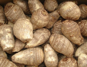 <span class=keywords><strong>Taro</strong></span> <span class=keywords><strong>cinese</strong></span> nuovo raccolto sano di verdure fresche fresche e congelate <span class=keywords><strong>Taro</strong></span> per la vendita - Product Image 3