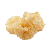 Großhandel kultivierte silberne Tremella Fuciformis Pilze getrocknete weiße Pilze essbare ganze rohe Lebensmittel wilde frische Tasche Verpackung