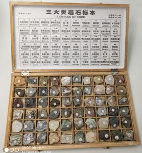 Gelsonlab HSGM-047 60 sortes <span class=keywords><strong>de</strong></span> spécimen <span class=keywords><strong>de</strong></span> roches échantillon <span class=keywords><strong>de</strong></span> roches pour les leçons <span class=keywords><strong>de</strong></span> géographie - Product Image 3