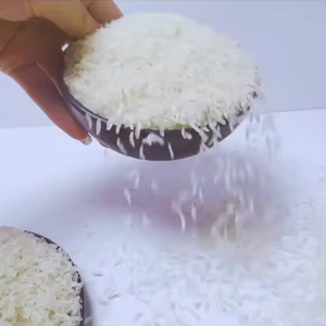 Aliments à faible teneur en glucides Shirataki Konjac Riz instantané sec pour la nourriture diabétique Chinois Halal Sans gluten Régime santé zéro gras