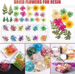 Hot Sale Resin Kit Jewelry Making Supplies DIY Resin Decoration Accessories Kit