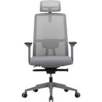 Chaise de bureau ergonomique moderne en maille avec soutien lombaire réglable et accoudoirs 4D – Personnalisation de mobilier de bureau