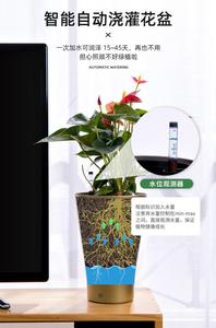 Vaso Decorativo Mini in Plastica, Confezione Multipla, Alta Qualità, Design Semplice, Resistente alla Corrosione, Robusto, Adatto per <span class=keywords><strong>Bonsai</strong></span> <span class=keywords><strong>da</strong></span> <span class=keywords><strong>Esterno</strong></span> - Product Image 6