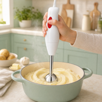 Mixeur Plongeant 300W, 2 Lames, 2 Vitesses, Silencieux, Idéal pour Soupes, Smoothies et Aliments pour Bébé, Cuisine Domestique, En Stock