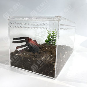 Vierkante Heldere Acryl Reptiel Tarantula Behuizing Huis Met Magneet Schuifdeksel Acryl Reptiel Vitrines - Product Image 4