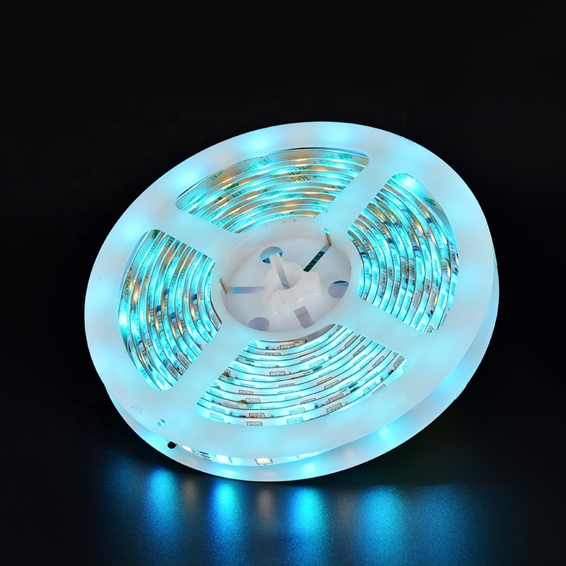 LEOMAY Wholesale PVC Led Strip Light CE RoHS 14.4W 5050 RGB DC12V Smart Strip Lights with Voice Control