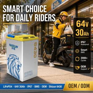 Paket Baterai LiFePO4 Pintar 64V30Ah GPS BMS IP67 Tahan Air 3000+ Siklus untuk Sepeda Motor Listrik Skuter E-Bike Tricycle Kendaraan Roda Tiga - Product Image 1