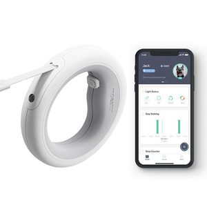 Conjunto de Correa y <span class=keywords><strong>collar</strong></span> de perro con correa de cuerda retráctil de diseño atractivo - Product Image 1