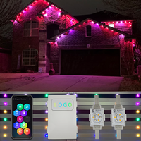 Lumières ponctuelles Twinklight LED pour installations permanentes extérieures 48V Power Ready adaptées aux événements festifs
