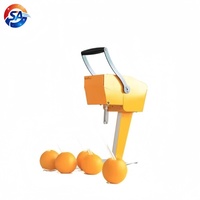 Commerciële RVS 304 Gemotoriseerde Automatische Sinaasappel- & Granaatappelpers 200W Verse Fruchtsapmachine voor Kleine Bedrijven