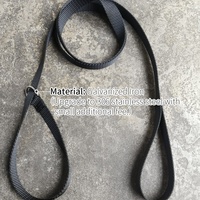 Laisse Martingale de Compétition Résistante à l'Usure pour l'Entraînement des Chiens de Chasse, des Greyhounds, des Pitbulls et des Lapins – Vente en Gros