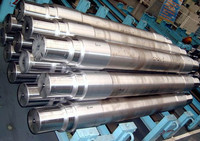 Rouleau de travail personnalisé utilisé dans les doubles laminoirs forgés Moulin tandem en acier 5% Cr