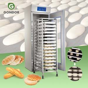 Armoire de fermentation électrique 36 L pour <span class=keywords><strong>pain</strong></span> au <span class=keywords><strong>levain</strong></span>, bac de fermentation, retardateur de pâte, machine à <span class=keywords><strong>pain</strong></span> - Product Image 1