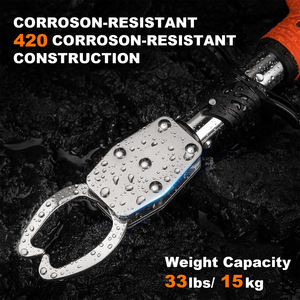 2025 nuovo Controller portatile in acciaio inossidabile per il pescatore artigli per il pesce gatto strumento di morsetto per le labbra in acqua salata - Product Image 2