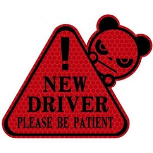 Pegatinas Reflectantes Personalizadas de Venta Caliente, Pegatinas de Vinilo PVC Brillantes en la Oscuridad para Automóviles - Product Image 1