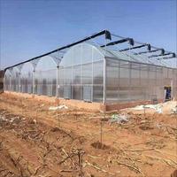 Invernadero Agrícola Comercial Grande de Múltiples Tramos, Cubierta de Lámina de Policarbonato Cuadrada, Estructura de Acero, Sistema Hidropónico