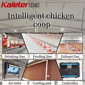 <span class=keywords><strong>Comederos</strong></span> automáticos <span class=keywords><strong>para</strong></span> cría de pollos, equipo avícola, suministros agrícolas, sistema de alimentación de agua <span class=keywords><strong>para</strong></span> pollos - Product Image 4