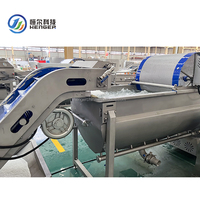 Industriële machine voor het wassen en snijden van groenten en fruit