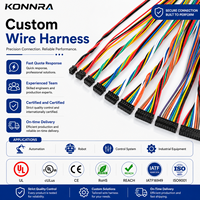 Conjunto de Cables Personalizados con Conectores Macho y Hembra Dupont de 2.54mm para Sistemas de Control PCB