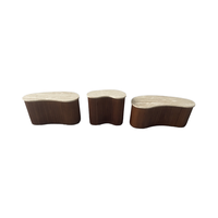 Ensemble de table basse en marbre, décor de salon, table à thé centrale en marbre naturel avec pied en bois, table basse en travertin pour vivre