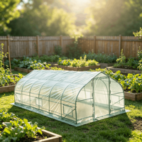 Serre tunnel moderne à toit en pente 10x30 pieds avec structure en acier galvanisé et couverture en PE, robuste pour plantes de jardin