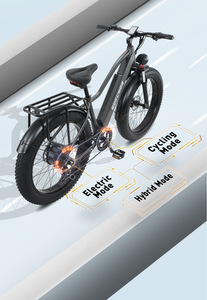 Vélo électrique de montagne personnalisé de haute qualité 800W/48V/20AH avec moteur à moyeu arrière, nouveau design, directement du fabricant chinois - Product Image 6
