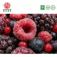 IQF Diepvries Gemengde Bessen Mix, Diepvries Fruit voor Bakkerij, Yoghurt, Smoothie en Jam, Bulkverpakking