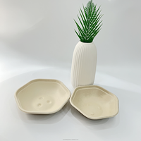 Bol à salade de bagasse de canne à sucre hexagone de grande capacité biodégradable compostable jetable au micro-ondes