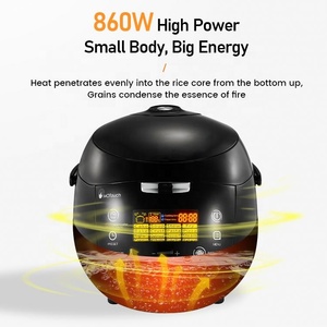 Meilleure qualité prix de gros OEM personnalisé 5L Smart Guangdong appareils de cuisine intelligent numérique cuiseur à riz électrique - Product Image 4