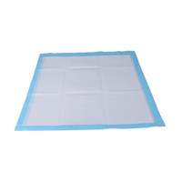 Consommables médicaux jetables d'hôpital 60*90cm Underpad adulte de soins personnels