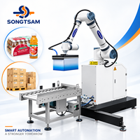 Robot Collaboratif Palettiseur, Machine d'Empilage Robotisée, Palettiseur Cobot pour Bouteilles, Sacs et Cartons de 25 kg