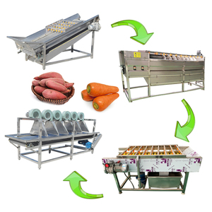 Proveedor de Líneas de Lavado y Secado de Alta Calidad y Duraderas para Frutas y Verduras - Product Image 6