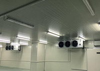 Cámara Frigorífica Personalizada de Tamaño Pequeño, Congelador para Alimentos, Motor Compresor Copeland/Bristol, Nuevo Contenedor con Panel de PU