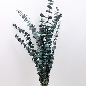 Décoration murale, feuilles d'<span class=keywords><strong>eucalyptus</strong></span> séchées blanches, couronne de fleurs, <span class=keywords><strong>guirlande</strong></span> de fleurs séchées préservées - Product Image 4