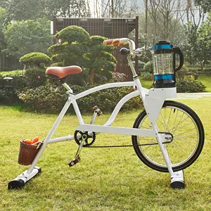 EXI独特的儿童自行车6-12岁儿童榨汁机踏板自行车