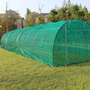 Tienda de jardín Polytunnel Orangery al por mayor fácil DIY Hobby Casa de flores invernadero marco metálico madera tratada a presión tipo natural - Product Image 3