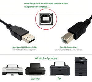 สายพิมพ์ <span class=keywords><strong>USB</strong></span> <span class=keywords><strong>2</strong></span>.0 แบบกำหนดเอง ราคาแข่งขัน <span class=keywords><strong>หัว</strong></span>ต่อแบบ Male to B Male ชุบนิกเกิล ปลอกหุ้ม PVC สีเทา สำหรับคอมพิวเตอร์และเครื่องสแกน - Product Image 3