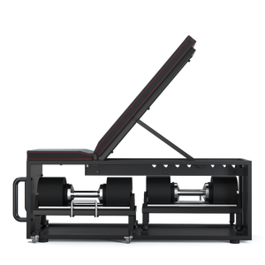 Gabinete de Fitness 4 en 1 Snode, Ahorra Espacio, Banco de Ejercicios Plegable <span class=keywords><strong>con</strong></span> Ranura de Almacenamiento Integrada para Mancuernas, Ideal para Gimnasios Pequeños en Interiores - Product Image 6