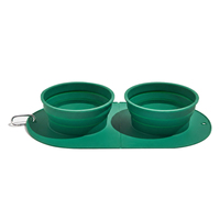 Ensemble de bols pour animaux de compagnie en silicone ovale portable, pliable, pour chien et chat, pour nourriture et eau, pour les voyages et les sorties