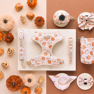 Arnés y Correa para Perros Elegantes Personalizados Sin Tirones Collares y Correas Accesorios para Mascotas DACHSHUND - Product Image 1